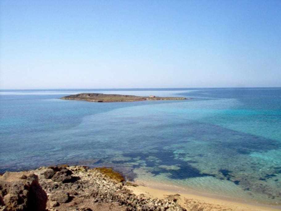 Ferienwohnung App Girasole 1A 300 Metri Dal Mare In Salento Torre San Giovanni Exterior foto